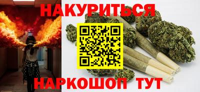 прущие грибы Новокубанск