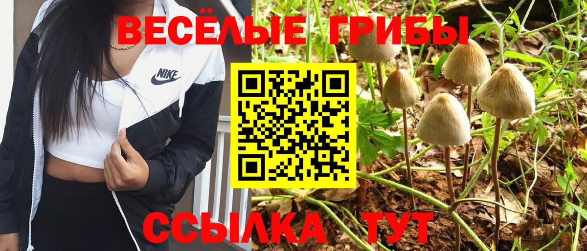 Псилоцибиновые грибы GOLDEN TEACHER  Вход с VPN  Александров 
