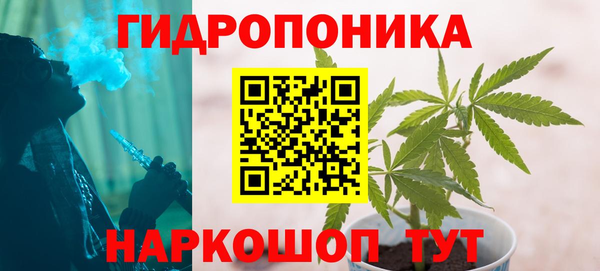 Бошки Шишки конопля Александров
